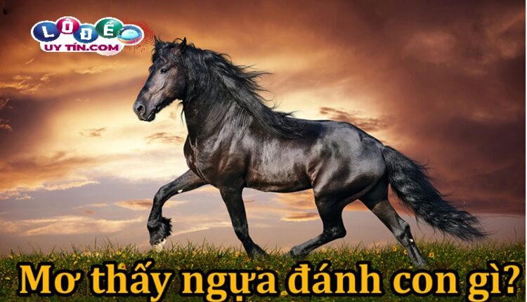 Điềm báo mơ thấy ngựa có ý nghĩa gì? Lý giải chính xác nhất