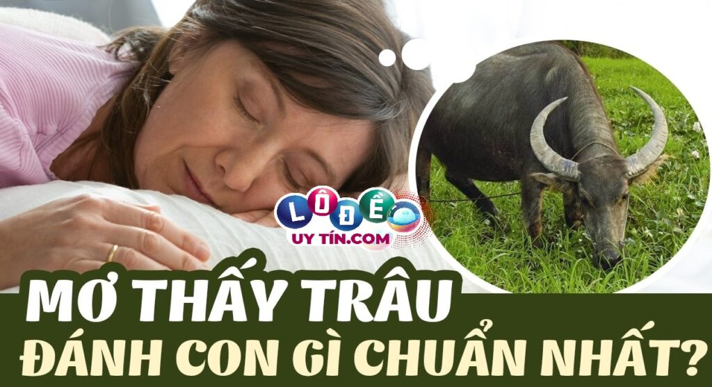 Mơ thấy trâu đánh số gì, là điềm lành hay dữ? 1 Mơ thấy trâu đánh số gì, là điềm lành hay dữ?