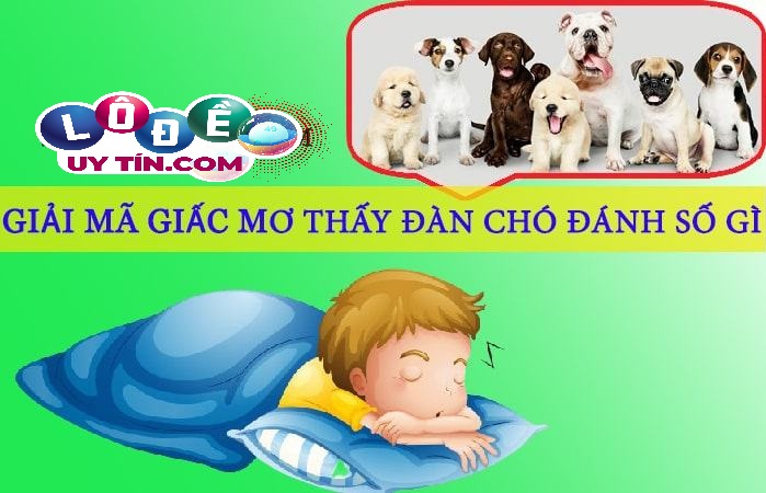 Mơ thấy chó con là điềm gì, đánh số gì mang lại tài lộc
