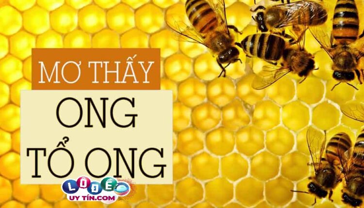 Điềm báo mơ thấy tổ ong bật mí điều gì? Đánh số gì bất bại? 2 Điềm báo mơ thấy tổ ong bật mí điều gì? Đánh số gì bất bại