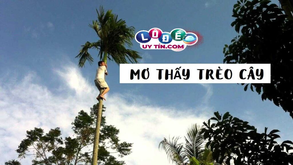 Giải mã giấc mơ trèo cây đầy đủ, chi tiết? Đánh con gì dễ ăn 1 Giải mã giấc mơ trèo cây đầy đủ, chi tiết? Đánh con gì dễ ăn