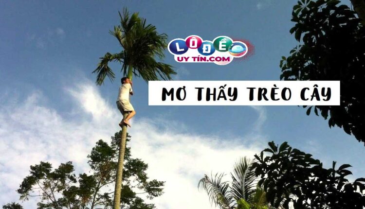 Giải mã giấc mơ trèo cây đầy đủ, chi tiết? Đánh con gì dễ ăn 2 Giải mã giấc mơ trèo cây đầy đủ, chi tiết