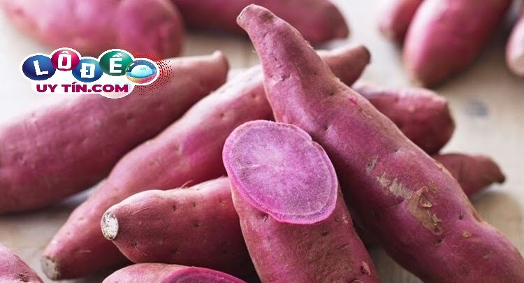 Nằm mơ thấy khoai lang có phải điểm tốt? Đánh con gì đẹp 2 Nằm mơ thấy khoai lang có phải điểm tốt? Đánh con gì đẹp