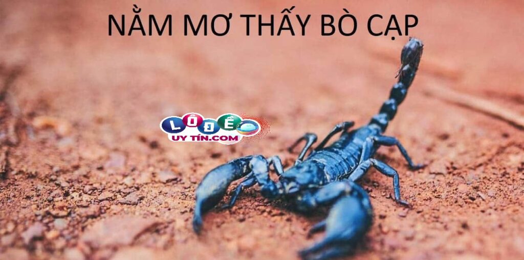 Nằm mơ thấy bò cạp có ý nghĩa gì? Đánh số gì rực rỡ?