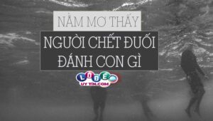 Mơ thấy người chết đuối là điềm gì, đánh số gì?