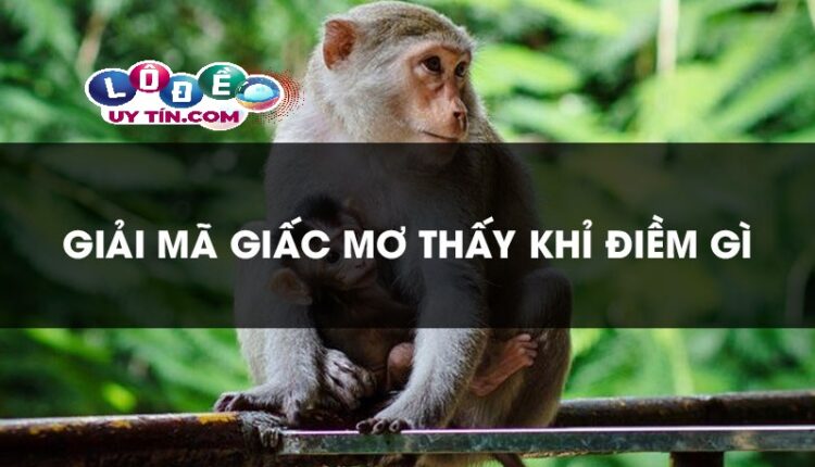 Nằm mơ thấy khỉ có ý nghĩa gì, đánh số mấy dễ trúng