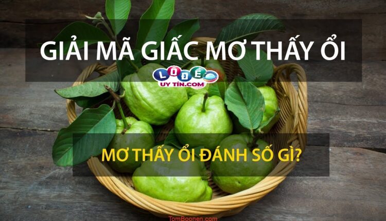 Giải mã giấc mơ thấy quả ổi đánh số gì? Điềm báo lành hay dữ