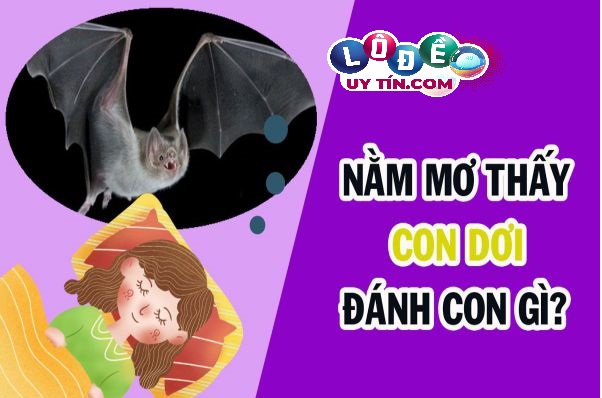 Phân tích giấc mơ thấy con dơi báo hiệu điều gì? Số mấy?