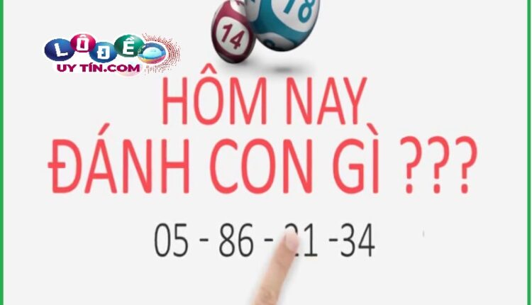 Bí kíp soi lô theo ngày chuẩn nhất của chuyên gia lô đề 3 Bí kíp soi lô theo ngày chuẩn nhất của chuyên gia lô đề