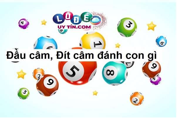 Hướng dẫn cách chơi lô đề đơn giản theo đít câm