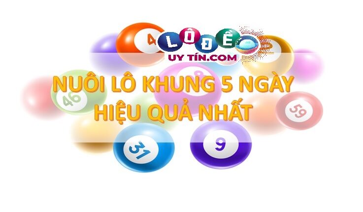 Cách nuôi lô kép khung 5 ngày chuẩn và chính xác nhất 3 nuôi lô kép khung 5 ngày 2