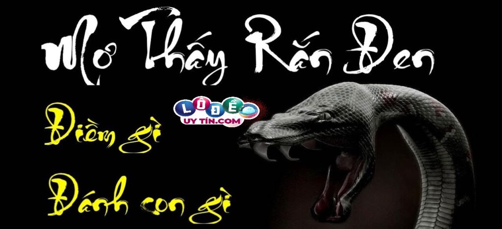 Mơ thấy rắn đen trắng đánh con gì và ý nghĩa giấc mơ 1 Mơ thấy rắn đen trắng đánh con gì và ý nghĩa giấc mơ