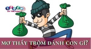 Nằm mơ đi ăn trộm có phải điềm xấu? Đánh con gì đẹp nhất