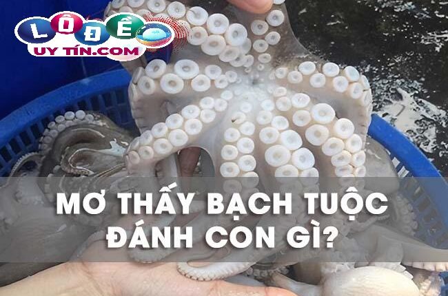 Nằm mơ thấy bạch tuộc - Nằm mơ thấy bạch tuộc đánh con gì