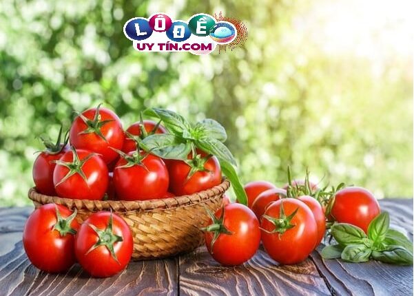Mơ thấy quả cà chua là điềm báo gì? Lý giải hiện tượng bí ẩn 3 Chiêm bao thấy ăn cà chua báo hiệu tài lộc trong sổ mơ lô đề