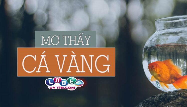 Mơ thấy cá vàng có ý nghĩa gì, đánh con gì