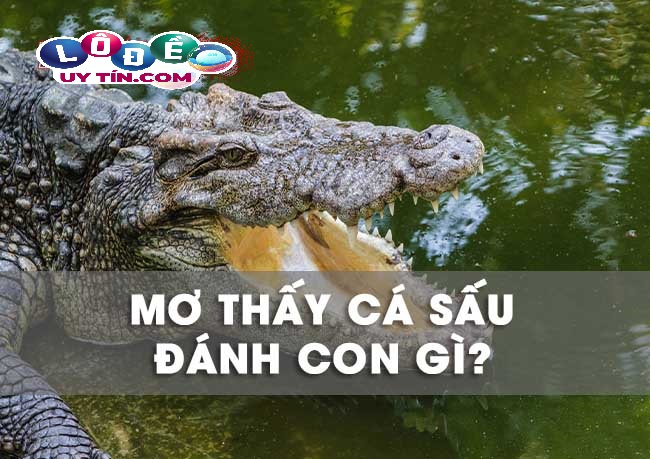 Mơ thấy cá sấu báo điềm nguy hiểm? Đánh con gì? 4 Mơ thấy cá sấu báo điềm nguy hiểm đánh con gì trúng lớn