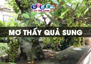 Mơ thấy quả sung là điềm báo gì, đánh số gì chuẩn?