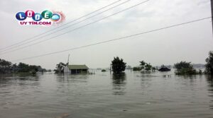 Mơ thấy lũ lụt có ý nghĩa gì, mơ lũ lụt đánh con gì?