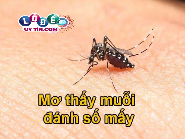 Chiêm bao mơ thấy con muỗi đánh con gì? Con số may mắn nhất