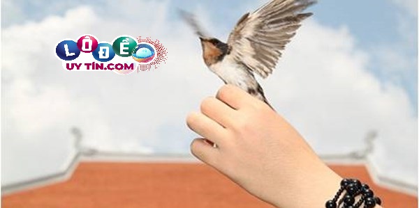 Nằm mơ thấy phóng sinh là điềm báo gì? Đánh con gì may mắn? 3 Nằm mơ thấy phóng sinh là điềm báo gì 2