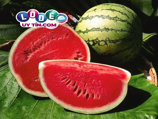 Chiêm bao mơ thấy dưa hấu có ý nghĩa gì? Đánh số gì bất bại? 3 Chiêm bao mơ thấy dưa hấu có ý nghĩa gì? Đánh số gì bất bại 1