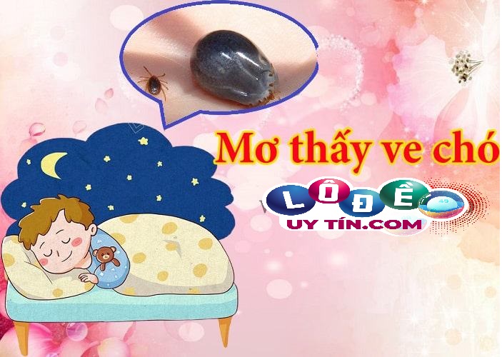 Mơ thấy ve chó là điềm báo gì, nên đánh con số gì? 3 Mơ thấy ve chó là điềm báo gì