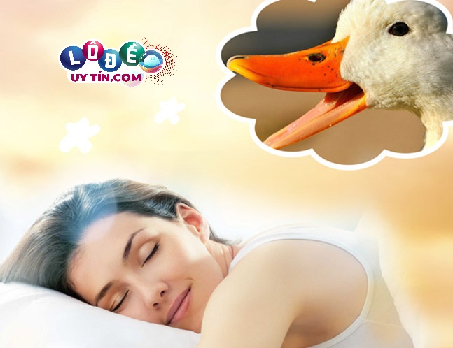Mơ thấy vịt đánh con gì, số nào dễ trúng nhất? 3 Mơ thấy vịt đánh con gì, số nào dễ trúng nhất 2