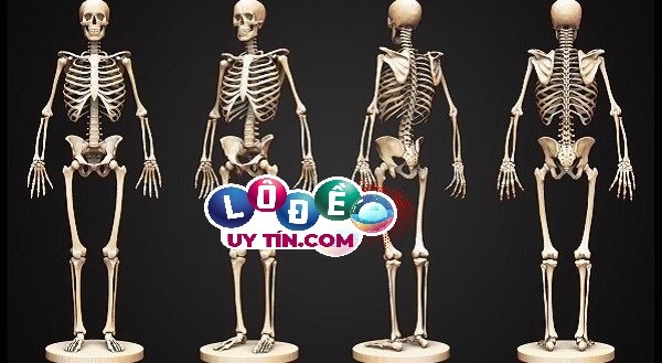 Chiêm bao mơ thấy xương người đánh số gì hợp phong thủy