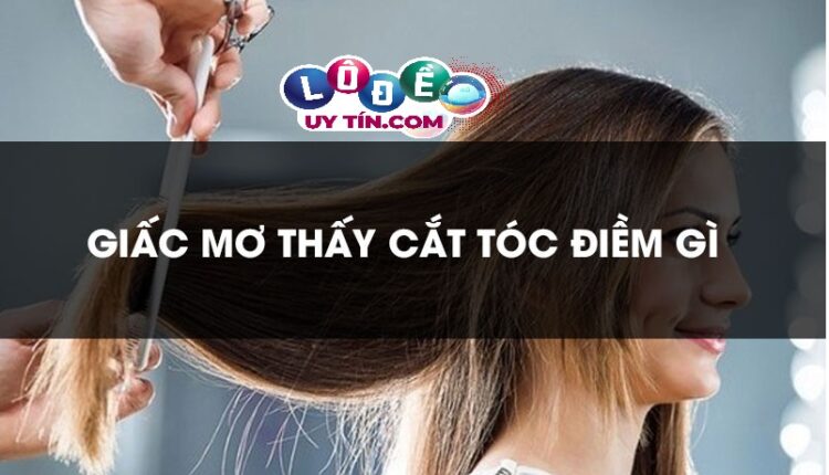 Mơ thấy cắt tóc là điềm báo lành hay dữ, đánh con gì? 3 Mơ thấy cắt tóc là điềm báo lành hay dữ, đánh con gì 1