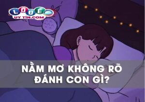 Ngủ mơ nhưng không nhớ đánh con gì dễ trúng nhất?
