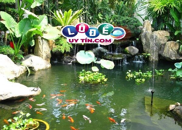 Nằm mơ thấy ao cá với nhiều tình tiết khác nhau trong giấc mơ