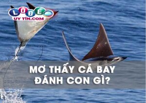 Nằm mơ thấy cá biết bay là tốt hay xấu, con số nào cho bạn?
