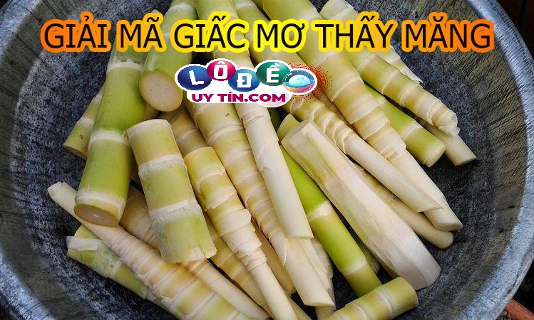 Chiêm bao mơ thấy măng đánh con gì