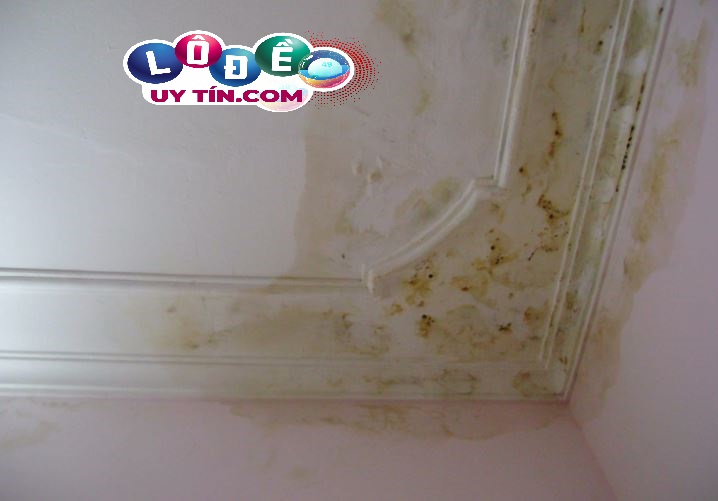 Giải mã nằm mơ thấy nhà dột - Con số nào liên quan 1