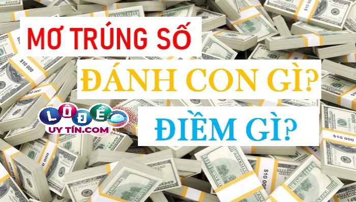 Mơ thấy mình trúng lô đánh con gì chính xác 2 Mơ thấy mình trúng lô đánh con gì chính xác