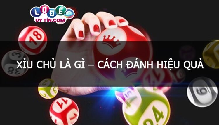 Xỉu chủ là gì? Cách đánh xỉu chủ hiệu quả từ cao thủ lô đề 2 Xỉu chủ là gì? Cách đánh xỉu chủ hiệu quả từ cao thủ lô đề