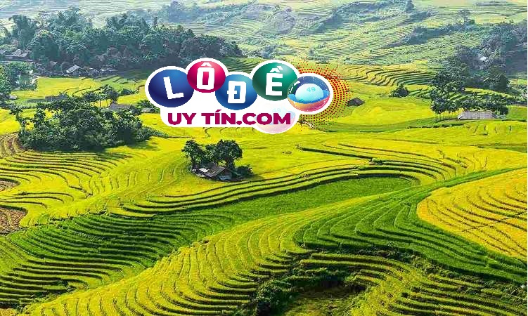 mơ thấy cánh đồng lúa là điềm gì