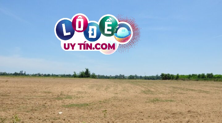 Mơ thấy đất đai có tốt không, đánh con số gì? 3 mơ thấy đất đai đánh con gì, là điềm gì