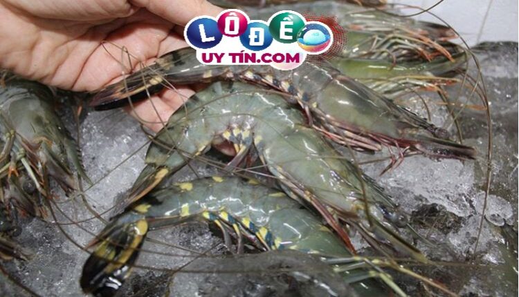 Chiêm bao mơ thấy ăn tôm đánh số gì? Bật mí ý nghĩa là gì