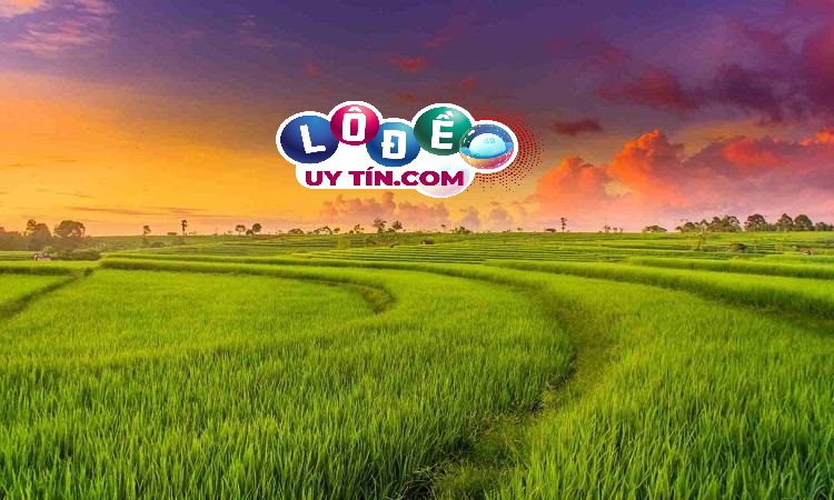 mơ thấy cánh đồng lúa đánh con gì