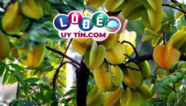 mơ thấy cây khế là điềm gì, đánh con gì