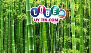 Nằm mơ thấy cây tre thì đánh con gì, là điềm báo gì?