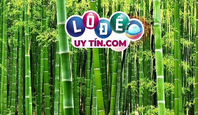 Nằm mơ thấy cây tre thì đánh con gì, là điềm báo gì?