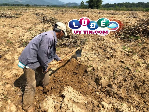 Mơ thấy cuốc đất là điềm báo gì, đánh con số gì