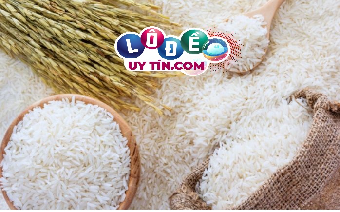 Mơ thấy lúa gạo là điềm gì, đánh số nào? 3 Mơ thấy lúa gạo là điềm gì, đánh số nào 1