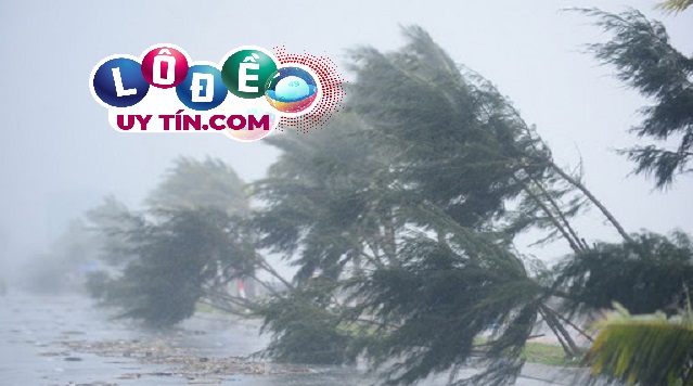 Nằm mơ thấy gió lớn có thể dự báo cho bạn những điều sắp xảy đến trong tương lai