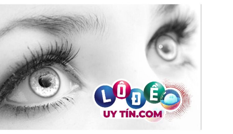 Mơ thấy lông đánh con gì, giải mã ý nghĩa giấc mơ 3 mơ thấy lông đánh con gì, là điềm gì