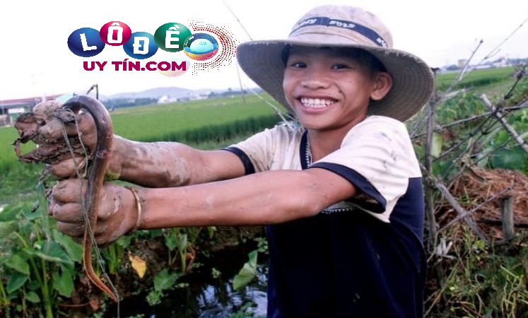 Mơ thấy lươn đánh con gì chuẩn nhất? Giải mã giấc mơ 4 Mơ thấy lươn đánh con gì chuẩn nhất? Giải mã giấc mơ 2
