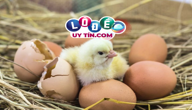 Mơ thấy trứng gà đánh con gì, điềm báo là gì? 4 mơ thấy trứng gà là điềm gì, có ý nghĩa gì